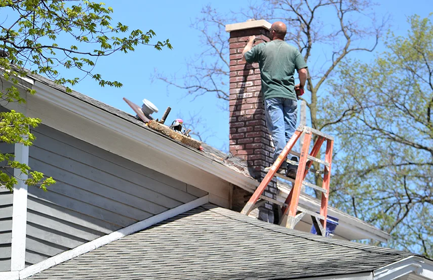 Chimney & Fireplace Inspections Services in Columbus, MS